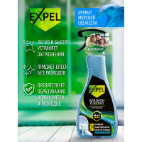 Спрей для мытья стёкол и зеркал Expel морская свежесть, 450мл (10) TS00022