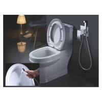 Гигиеничекий душ Rose R1505F