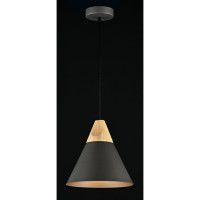 Подвесной светильник Maytoni Bicones P359-PL-220-C