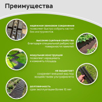 Садовая дорожка Еврогрядка 300x1000 мм, венге EGDOR30x100