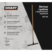 Gigant Грабли витые 12-ти зуб.порошк.окр.с дер.чер.высш.сорт GFE-06