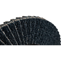 Gigant Professional Круг лепестковый 125?22,2 мм; P40; цирконий GNT-P40