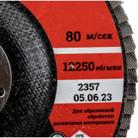 Gigant Professional Круг лепестковый 125?22,2 мм; P40; цирконий GNT-P40