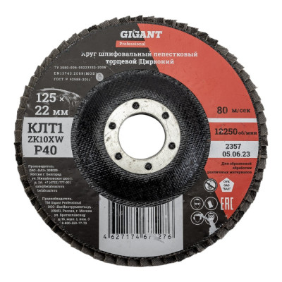 Gigant Professional Круг лепестковый 125?22,2 мм; P40; цирконий GNT-P40