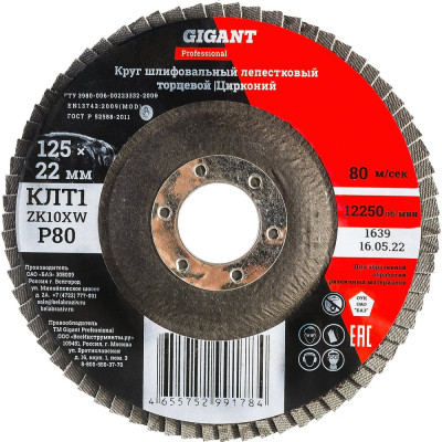 Gigant Professional Круг лепестковый 125?22,2 мм; P80; цирконий GNT-P80