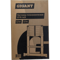 Gigant Лестница телескопическая 2.9м LT-01 1x10