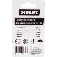 Gigant Круг веерный на шпильке d32x10x3,2мм P 80 L 45мм GFCH45