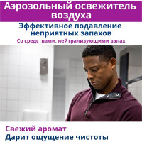 Диспенсер для аэрозольного освежителя воздуха TORK A1, электронный, металлик 256055 12263