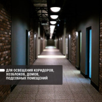 Светильник TDM ELECTRIC НПП 03-100-103 (металл, стекло, с решеткой) IP65 SQ0311-0020