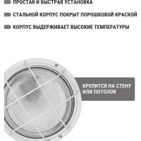 Светильник TDM ELECTRIC НПП 03-100-103 (металл, стекло, с решеткой) IP65 SQ0311-0020