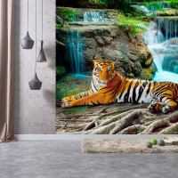 Обои Антимаркер Milan Тигр у водопада, 300x270 см M 3160