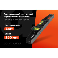 Алюминиевый магнитный строительный уровень Gigant 250мм GWM250