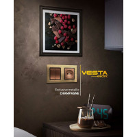 Розетка Metronex Electric Exclusive Champagne Metallic одинарная с заземлением FRZ00041004BSH