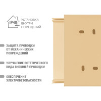 Кабель-канал TDM ELECTRIC 100x60 желтая сосна 3D (2м/6шт в упак) SQ0402-0610