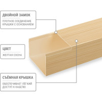 Кабель-канал TDM ELECTRIC 100x60 желтая сосна 3D (2м/6шт в упак) SQ0402-0610