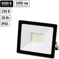 Светодиодный прожектор TDM СДО-04-030Н-Ф (с фотореле) 30 Вт, 6500 К, IP65 SQ0336-0233
