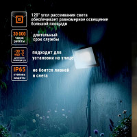 Светодиодный прожектор TDM СДО-04-030Н-Ф (с фотореле) 30 Вт, 6500 К, IP65 SQ0336-0233