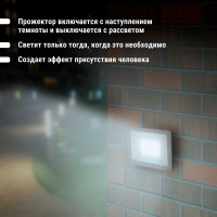 Светодиодный прожектор TDM СДО-04-030Н-Ф (с фотореле) 30 Вт, 6500 К, IP65 SQ0336-0233