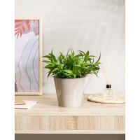 Горшок для цветов Idiland Rosemary D 160 мм, 1.6 л, с дренажной вставкой, бежевый 221605427/01