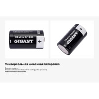 Батарейка Gigant Alkaline D/LR20 блистер 2 шт. GBA-D-2