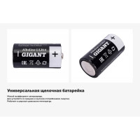 Батарейка Gigant Alkaline C/LR14 блистер 2 шт. GBA-С-2