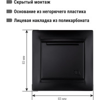 Розетка с заземлением 16А 250В IP44 с крышкой графит "Лама" TDM ELECTRIC SQ1815-0626