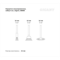 Латунированные корщетки набор 3 шт Gigant GBBB3