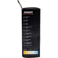 Gigant Лампа светодиодная E14 5Вт 2700К C37 400Лм G-E14-5-2700K
