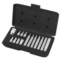 Набор бит (HEX; 1/2''; 10 мм; 15 предметов) в пластиковом боксе MASTER MATRIX 11313
