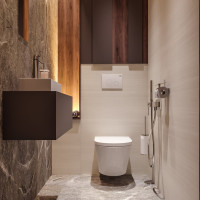 Безободковый подвесной унитаз Lavinia Boho Biore в наборе 2 в 1 330402CR