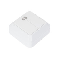 2-клавишный выключатель TANGO с подсветкой, белый открытой проводки 10А, 250В 1007258