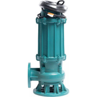 Насос ESQ ГНОМ-М 53-10-100/4-380 02.31.216204