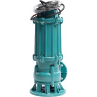 Насос ESQ ГНОМ-М 53-10-100/4-380 02.31.216204