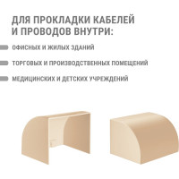 Заглушка кабельной трассы TDM ELECTRIC КМЗ 100x60 сосна (2 шт./комплект) SQ0411-0237