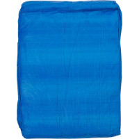 Тент 80 (5x6 м; 80 г/кв.м.) XGLASS 330047