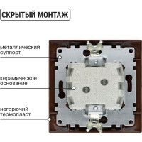 2-клавишный выключатель TDM ELECTRIC с подсветкой 10А "ЭКО" (бук) "Таймыр" SQ1814-0305