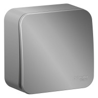 1-клавишный выключатель Systeme Electric Blanca о/у без пласт. алюминий, 10А BLNVA101003