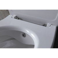 Крышка-сиденье для унитаза ALLEN BRAU Fantasy Smartfix, Soft-Close 4.11005.20 белый 00269466