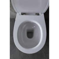 Крышка-сиденье для унитаза ALLEN BRAU Fantasy Smartfix, Soft-Close 4.11005.20 белый 00269466