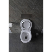 Крышка-сиденье для унитаза ALLEN BRAU Fantasy Smartfix, Soft-Close 4.11005.20 белый 00269466