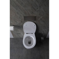 Крышка-сиденье для унитаза ALLEN BRAU Fantasy Smartfix, Soft-Close 4.11005.20 белый 00269466