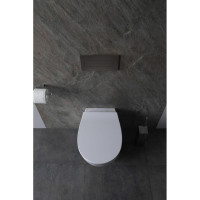 Крышка-сиденье для унитаза ALLEN BRAU Fantasy Smartfix, Soft-Close 4.11005.20 белый 00269466