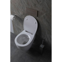 Крышка-сиденье для унитаза ALLEN BRAU Fantasy Smartfix, Soft-Close 4.11005.20 белый 00269466