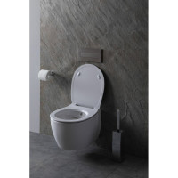 Крышка-сиденье для унитаза ALLEN BRAU Fantasy Smartfix, Soft-Close 4.11005.20 белый 00269466