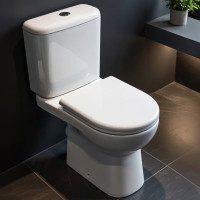 Унитаз-компакт ACCESS Roca горизонтальный выпуск сиденье с крышкой SC артикул 34P23800Y