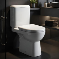 Унитаз-компакт ACCESS Roca горизонтальный выпуск сиденье с крышкой SC артикул 34P23800Y