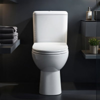 Унитаз-компакт ACCESS Roca горизонтальный выпуск сиденье с крышкой SC артикул 34P23800Y