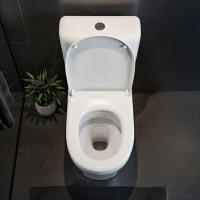 Унитаз-компакт ACCESS Roca горизонтальный выпуск сиденье с крышкой SC артикул 34P23800Y