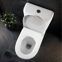 Унитаз-компакт ACCESS Roca горизонтальный выпуск сиденье с крышкой SC артикул 34P23800Y