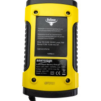 Зарядное устройство для свинцовых тяговых аккумуляторов SKN ZYX-J10 12V 6A (4Ah-100Ah) 023187